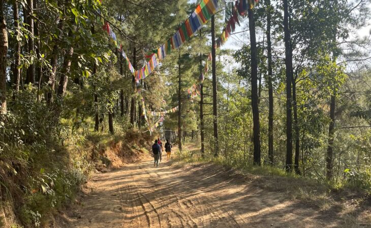 WhatsApp Image 2024-11-25 at 15.47.20