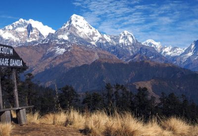 Himalayan Yoga Academy Blog