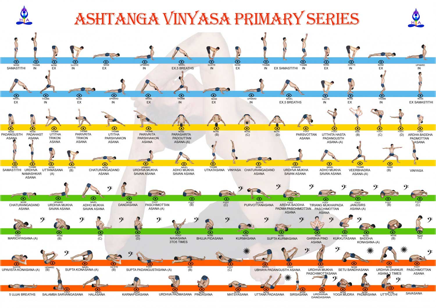 Ashtanga Vinyasa Primary Series