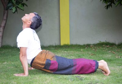 Hatha Yoga Online Teacher Training in Nepal