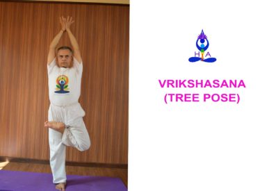 Vrikshasana & Tree pose