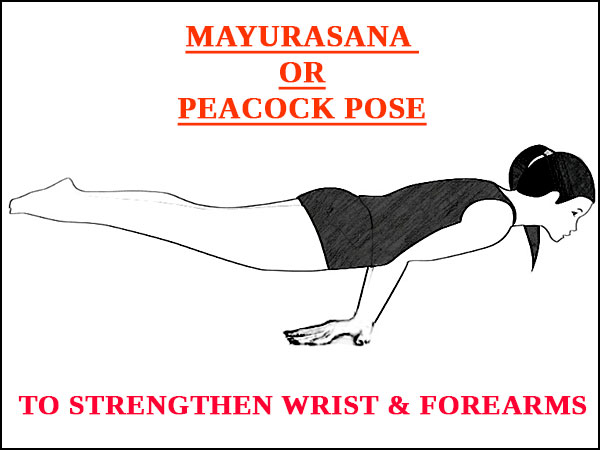 Peacock Pose (Mayurasana) Dimensions & Drawings | Dimensions.com