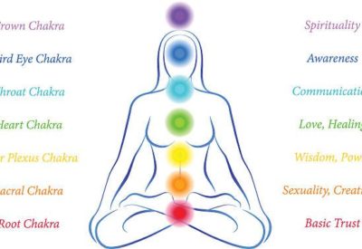 Chakra and Endocrine System
