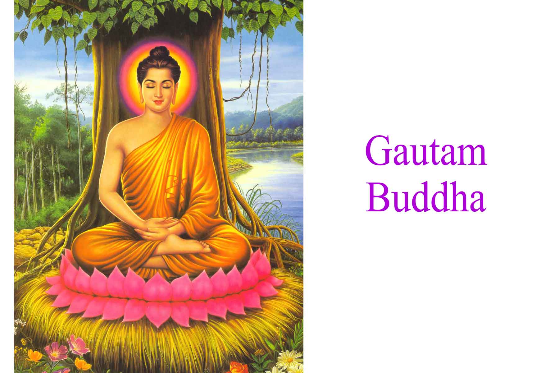 Gautam buddha on sale and buddhism