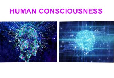 What is Human Consciousness