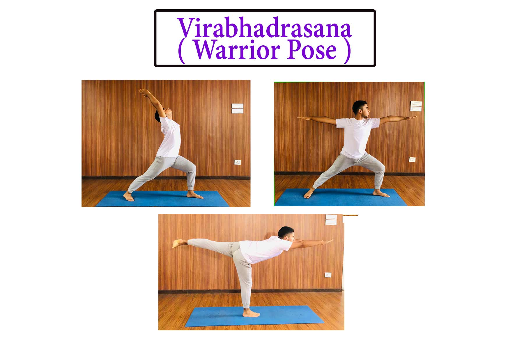 Warrior Pose Virabhadrasana