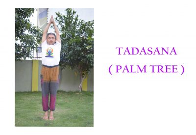 tadasana-(-palm-tree-)