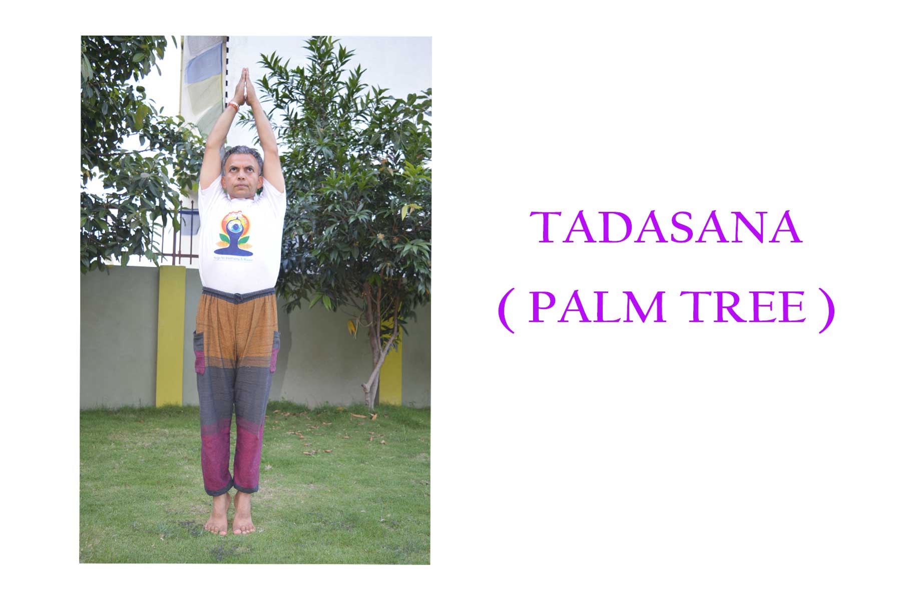 tadasana-(-palm-tree-)