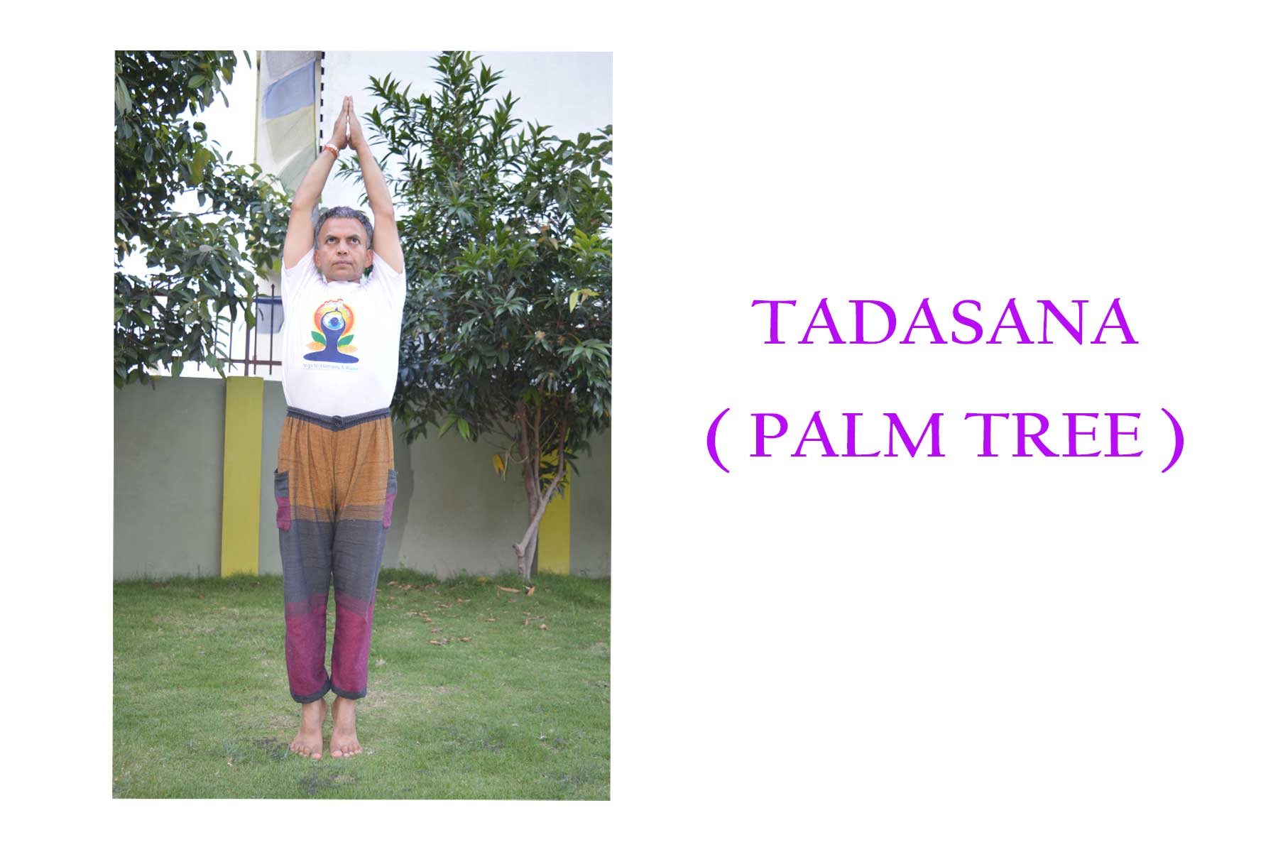 Tadasana (Palm tree pose)