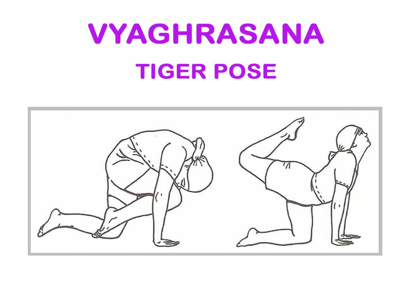 Tiger pose yoga workout silhouette healthy Vector Image