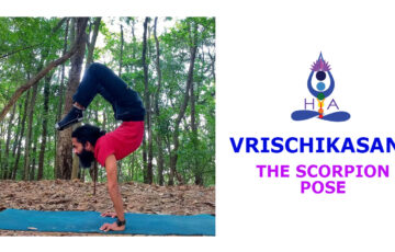 Vrischikasana (The Scorpion Pose)