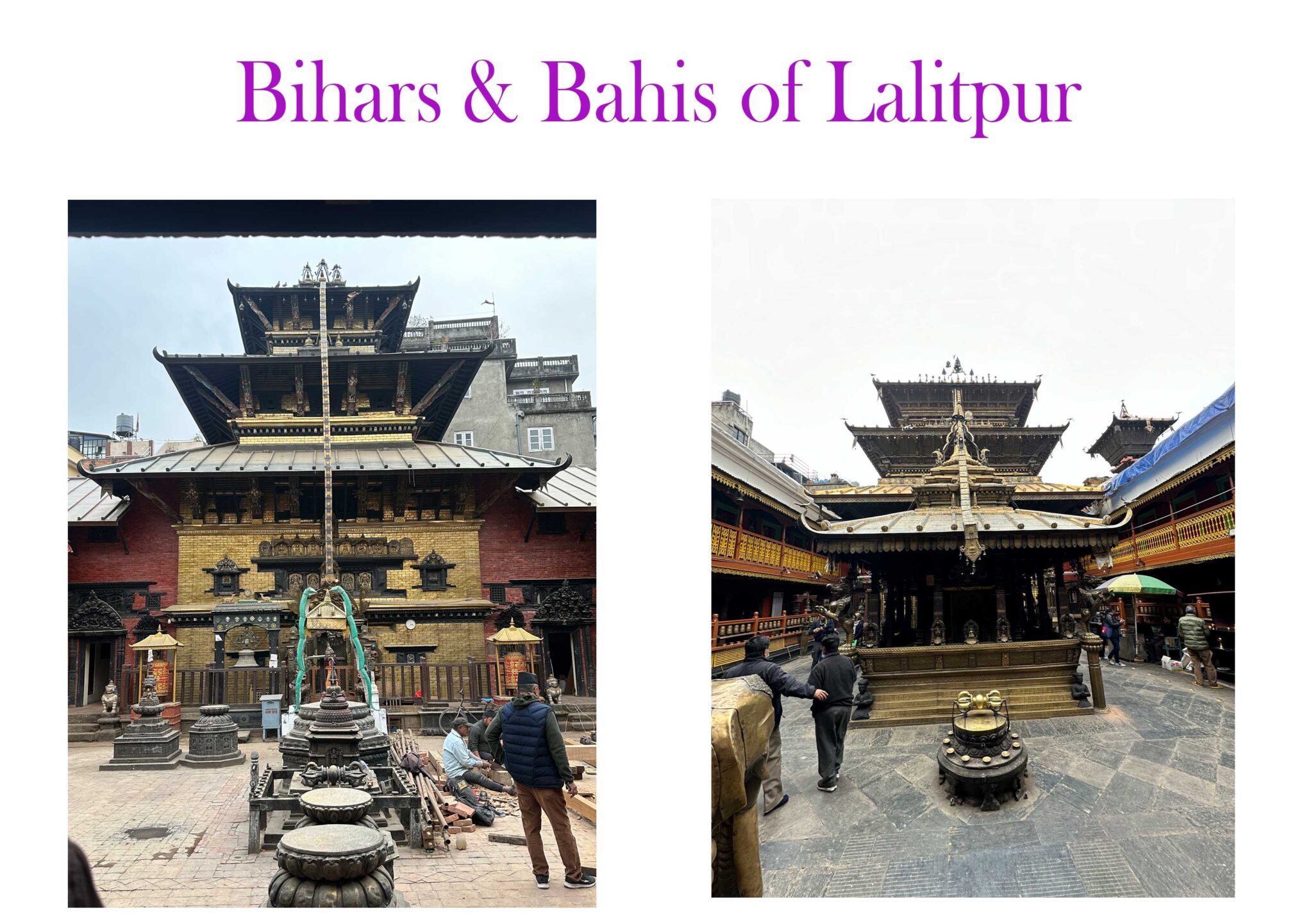 Bihars & Bahis of Lalitpur