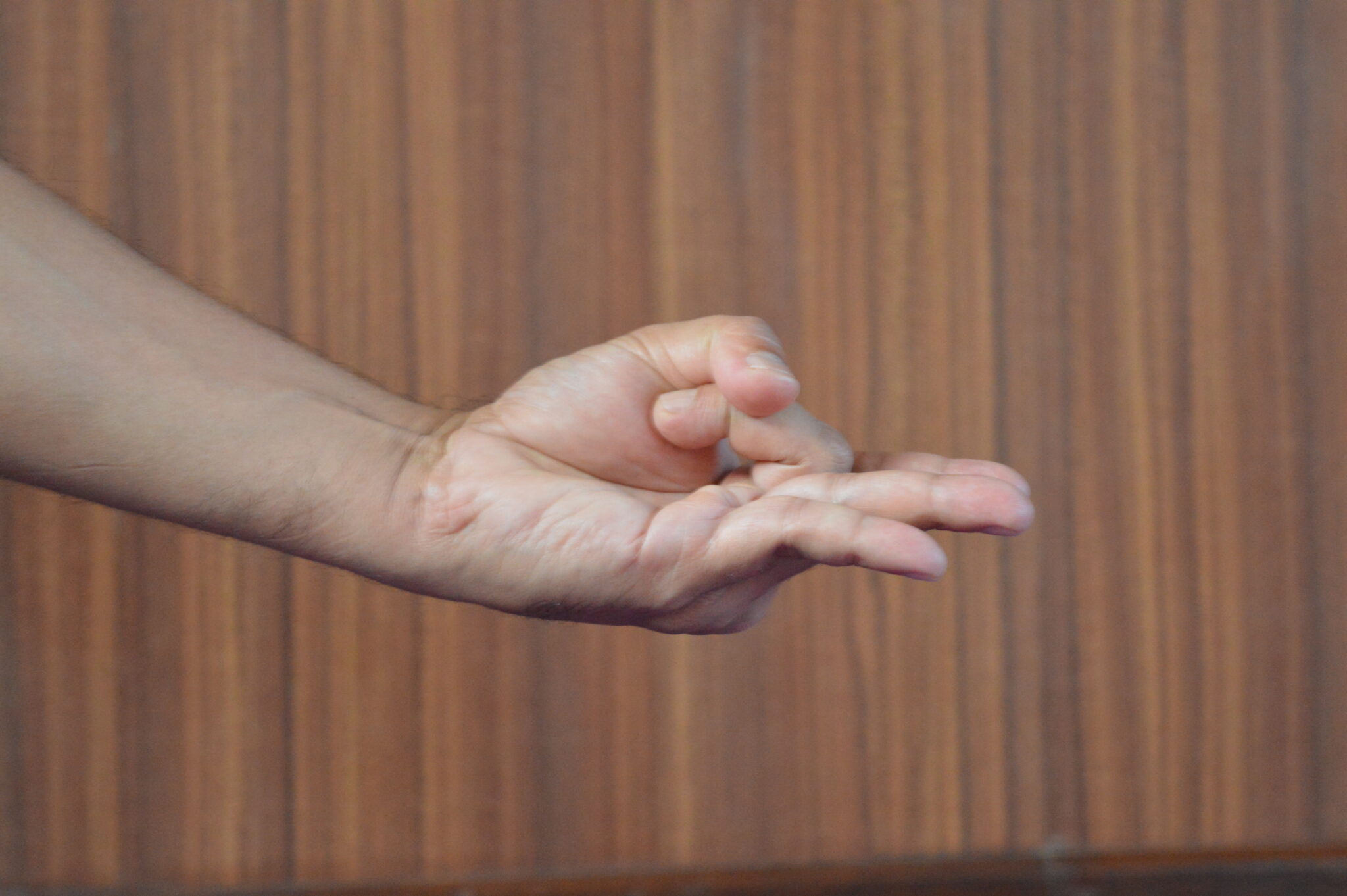 agni mudra