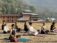 A group of individuals seated in a yoga pose on mats in an outdoor setting.